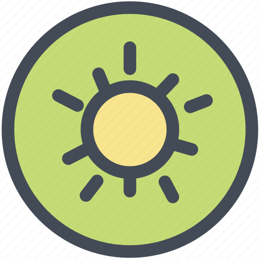 Food, fruit, healthy, kiwi, nutrition icon - Download on Iconfinder