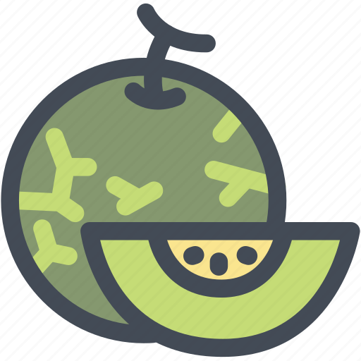 Cantelope, food, fruit, melon, organic, slice icon - Download on Iconfinder