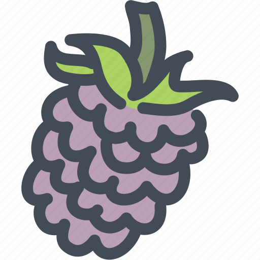 Berries, food, fruit, health, nutrition, raspberry, raspberry icon icon - Download on Iconfinder