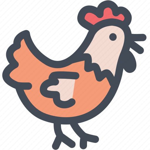 Animal, chicken, farm, food, grilled chicken, morning icon - Download on Iconfinder