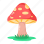 red mushroom, red toadstool, red fungus, food ingredient, agaric mushroom 