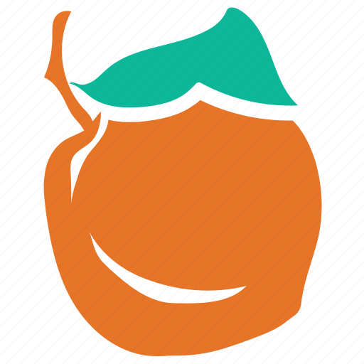 Apricot, fruit, food, fresh icon - Download on Iconfinder