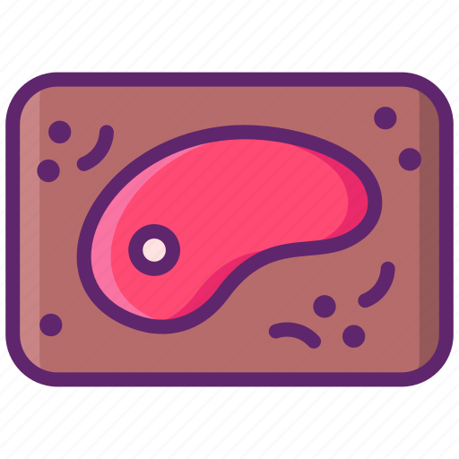 Marinade, steak, meat icon - Download on Iconfinder