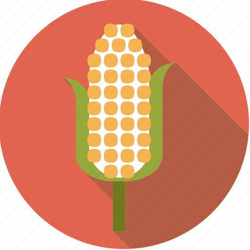 Cereal, cob, corn, food, foodix icon - Download on Iconfinder