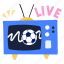 tv, entertainment, live transmission, soccer match, football 