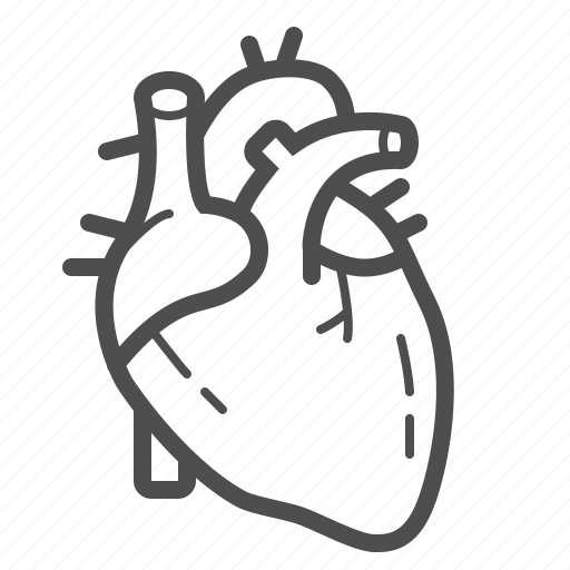 Cardio, cardiology, cardiovascular, health, healthcare, heart, medical icon - Download on Iconfinder