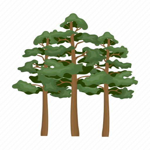 Forest, pine, plant, tree icon - Download on Iconfinder