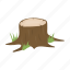 forest, root, sawed, stump, tree 