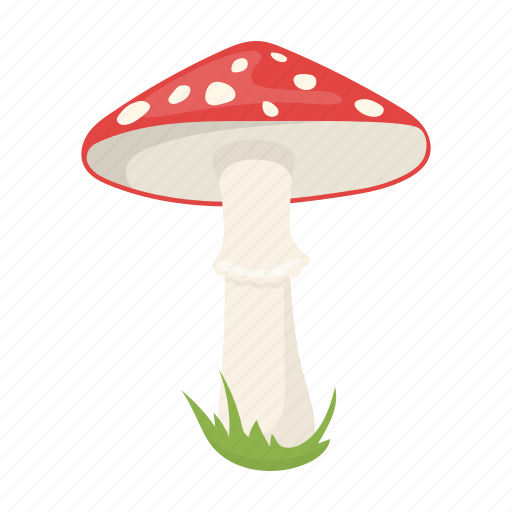 Amanita, fly agaric, mushroom, plant, poisonous icon - Download on Iconfinder