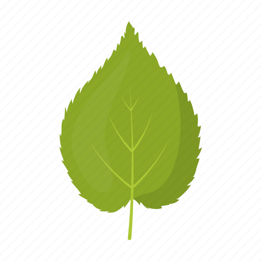 Birch, leaf, plant, tree icon - Download on Iconfinder