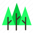 branch, forestry, forrest, pine, tree, trees, triple