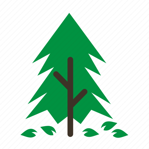 Forestry, forrest, leaves, pine, plant, tree, trees icon - Download on Iconfinder