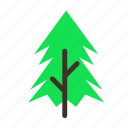 forestry, forrest, pine, plant, spike, tree, trees