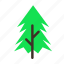 forestry, forrest, pine, plant, spike, tree, trees 