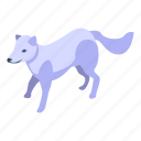white, fox, isometric