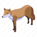 brown, fox, isometric