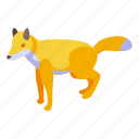 wild, fox, isometric