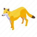 forest, fox, isometric