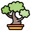 bonsai, tree, plant, houseplants, gardening, nature, hobbies 