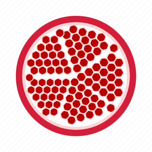 Fruit, multi-seed, pomegranate, red, sweet icon - Download on Iconfinder