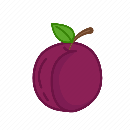Plum, chinese plum, apricot, fruit, food, fresh icon - Download on Iconfinder