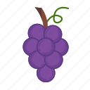 grape, fruit, fresh, purple, sweet, tropical