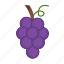 grape, fruit, fresh, purple, sweet, tropical 