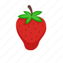 strawberry, red, fruit, food, fresh, cake, sweet