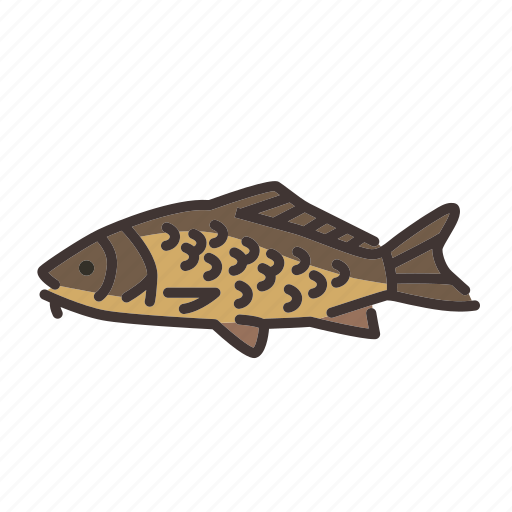 Carp, fish, fishes, fishing, freshwater, freshwater creature icon - Download on Iconfinder
