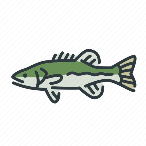 Bass, fish, fishing, freshwater, spotted bass, sunfish icon - Download on Iconfinder