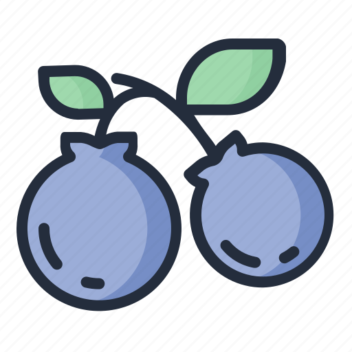 Blueberry, food, fruit, juicy, tropical fruit icon - Download on Iconfinder
