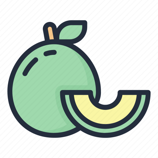 Melon, food, fruit, juicy, tropical fruit icon - Download on Iconfinder