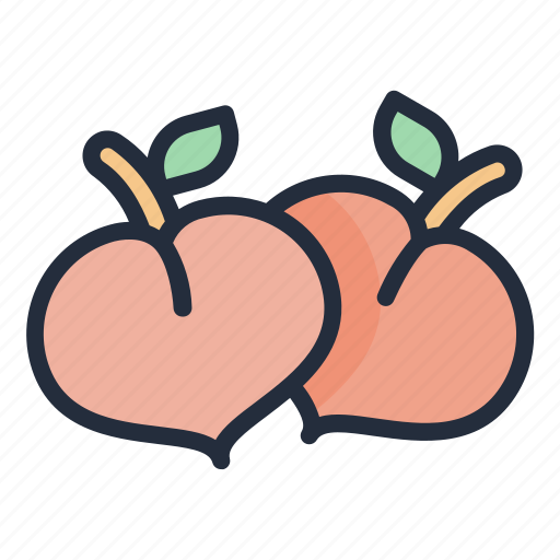 Peach, food, fruit, juicy, tropical fruit icon - Download on Iconfinder