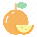 orange, food, fruit, juicy, tropical fruit