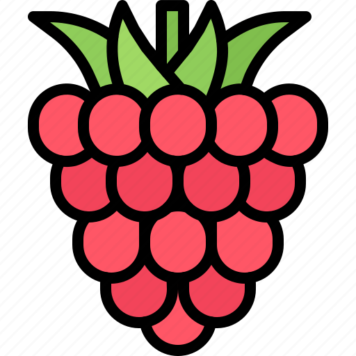 Raspberries, berry, fruit, food, shop icon - Download on Iconfinder