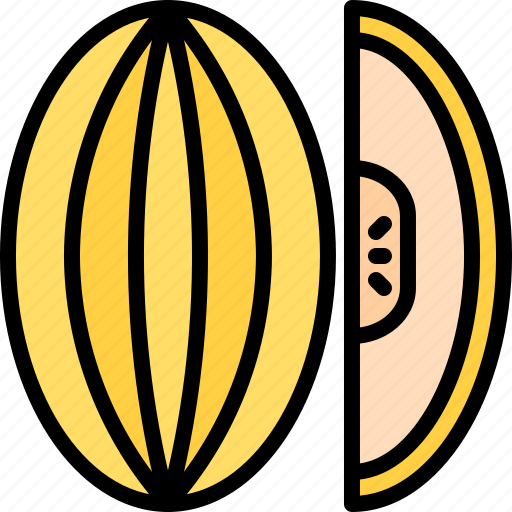 Melon, fruit, food, shop icon - Download on Iconfinder
