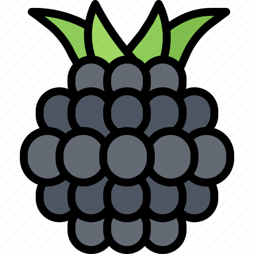 Blackberry, fruit, food, shop icon - Download on Iconfinder