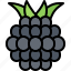 blackberry, fruit, food, shop 