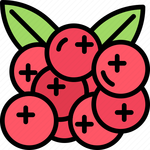 Cranberry, fruit, food, shop icon - Download on Iconfinder