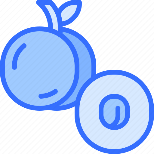 Plum, fruit, food, shop icon - Download on Iconfinder