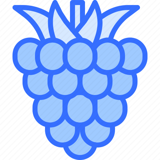 Raspberries, berry, fruit, food, shop icon - Download on Iconfinder