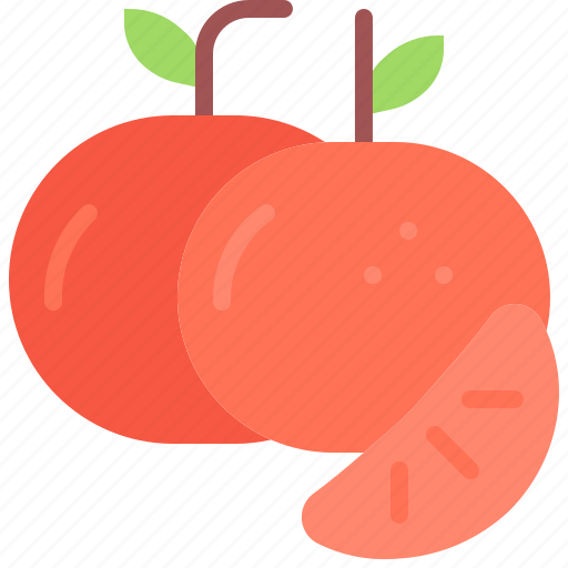 Mandarin, fruit, food, shop icon - Download on Iconfinder