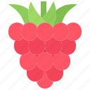 raspberries, berry, fruit, food, shop