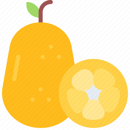 Kumquat, fruit, food, shop icon - Download on Iconfinder
