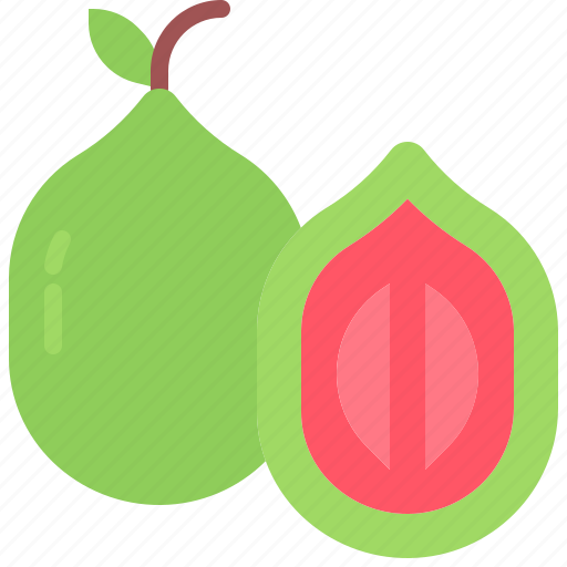 Guava, fruit, food, shop icon - Download on Iconfinder