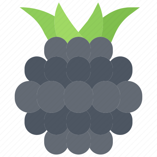 Blackberry, fruit, food, shop icon - Download on Iconfinder