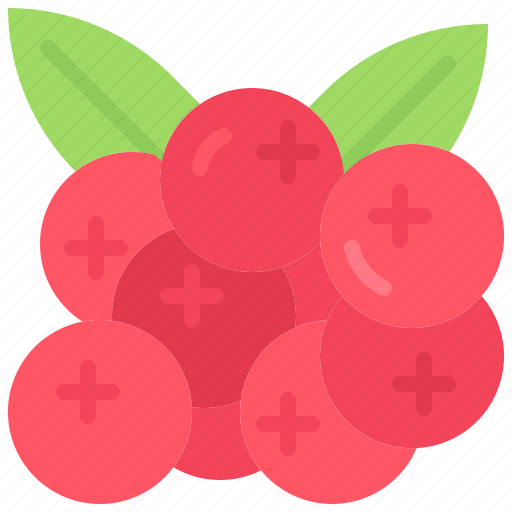 Cranberry, fruit, food, shop icon - Download on Iconfinder