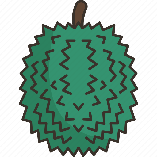 Durian, fruit, sweet, exotic, tropical icon - Download on Iconfinder