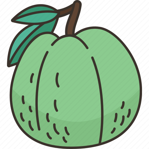 Guava, fruit, vitamins, healthy, tropical icon - Download on Iconfinder