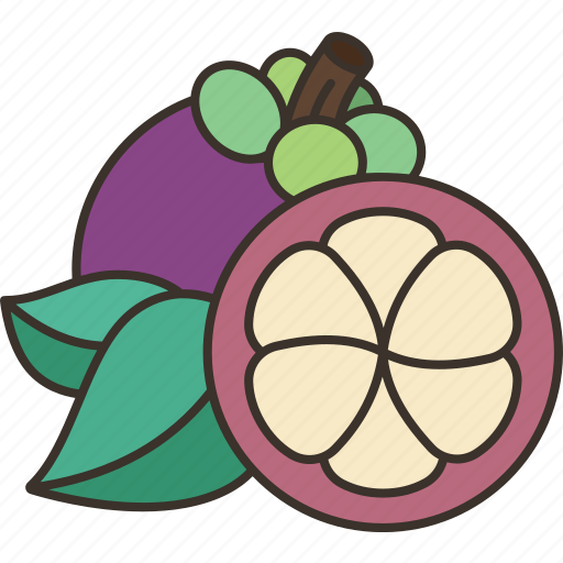 Mangosteen, fruit, delicious, juicy, tropical icon - Download on Iconfinder